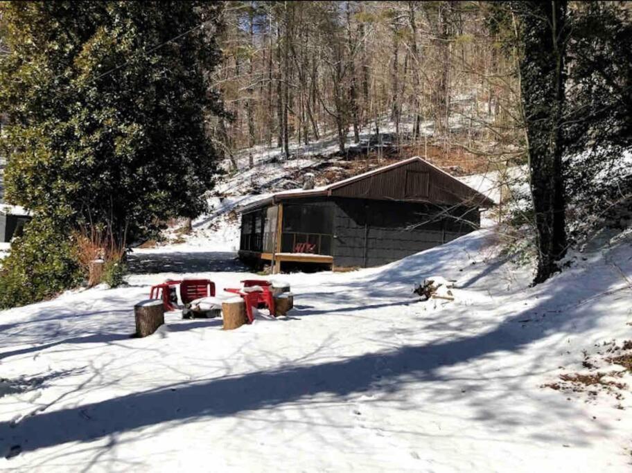 Cabin At The Cove At Watauga Lake Butler Exterior foto